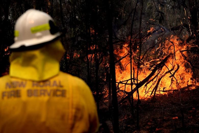 Petugas pemadam kebakaran Australia membakar padang rumput untuk meminimalkan risiko kebakaran hutan yang menjulang