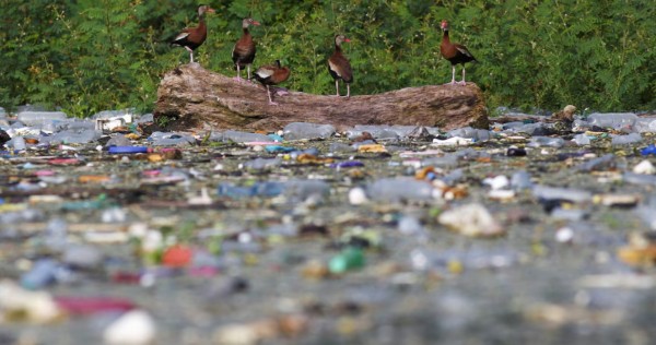 Pembicaraan perjanjian plastik global sedang terjadi: Apa yang diinginkan para pemangku kepentingan?, World News